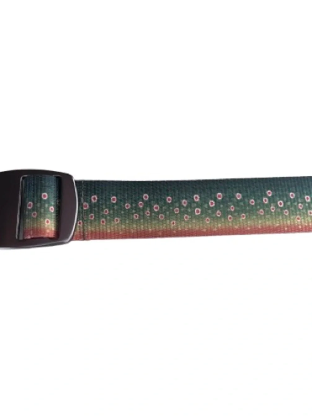 Croakies Patterned Green Ombre Webbing Belt with Metal Bottle Opener Buckle EUC